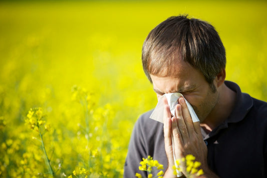 Seasonal Allergy Relief – Treat Your Symptoms and The Root Cause